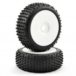 Fastrax 1:8 Buggy Lugger Mounted On White Dished (2)